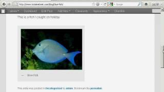 Video Showing How to Insert and Manipulate Images In a WordPress Blog