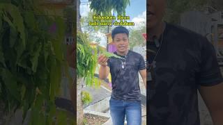 Kibaskan daun menjadi uang #sulap #magic #sihir #shortvideo