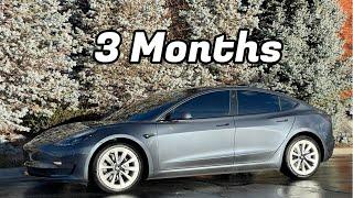 2023 Tesla Model 3 Three Months Later - The Truth 6,000 Miles Later