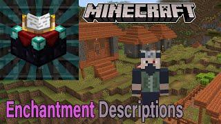 How to get Enchantment Descriptions in minecraft How To install Enchantment Descriptions in 1.18.1