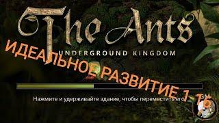 The Ants. ИДЕАЛЬНОЕ РАЗВИТИЕ МУРАВЕЙНИКА С 1 по 16 уровень!!!