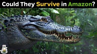 What If Crocodiles Were Introduced Into The Amazonian Rainforest?