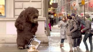 Bear in NYC Prank!