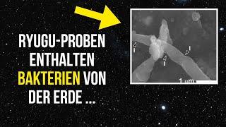 Schockierende Entdeckung von irdischen Bakterien in Proben des Asteroiden Ryugu!