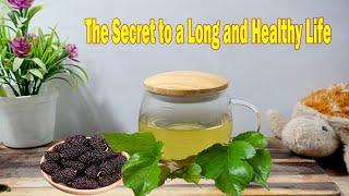 How to Make Mulberry Leaf Tea : The Secret to a Long and Healthy Life