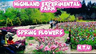 NATIONAL TAIWAN UNIVERSITY HIGHLAND EXPERIMENTAL FARM