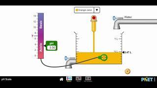 PhET Simulation pH Scale - Mr Pauller