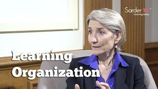 How do we build a learning organization? by Amy Edmondson, Author of Teaming