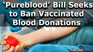 'Pureblood' Montana Bill Seeks to Ban Vaccinated Blood Donation. More Evidence of Societal Divide