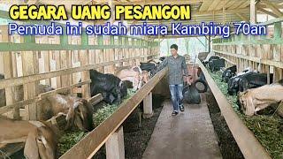 Beli Kambing Dari Hasil Pesangon Sunatan, Sekarang Sudah Pelihara 70 Ekor Kambing