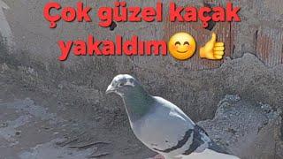 Kaçak yakalama serimiz devam ediyor.||kaçak posta yakaladım şansım açıldı