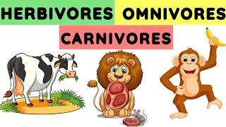 Herbivores carnivores and omnivores | Animals and their food | Eating habits of animals |#herbivores