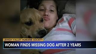 2 YEARS LATER: Woman finds missing dog while looking for new pet