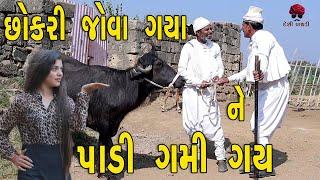 છોકરી જોવા ગયા ને પાડી ગમી ગઈ | દેશી વિડિયો  | Gujarati Comedy Video | Desi Paghadi