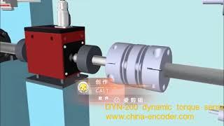 DYN 200 dynamic rotate torque sensor