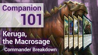 Companion 101: Keruga, the Marcrosage Commander/ EDH Deck Inclusion Breakdown