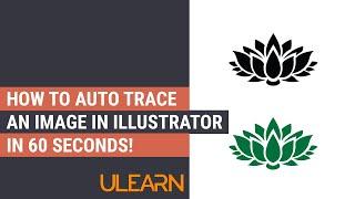 How to Auto Trace an Image in Illustrator in 60 seconds!