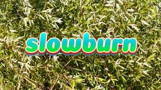 slowburn.