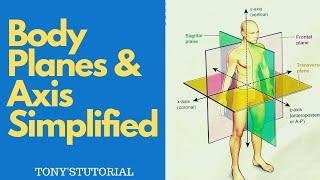 BODY PLANES & AXIS SIMPLIFIED # Sagittal, Coronal & Transverse Planes