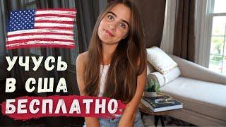 БЕСПЛАТНО УЧУСЬ В США | БЕЗ ЭКЗАМЕНОВ | учеба в Америке