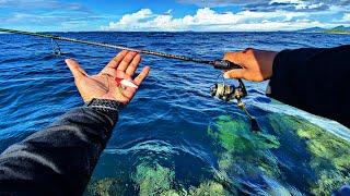 Umpan Gacor untuk Mancing Landbase di Tebing Karang Dangkal | Sekali Turun Dapat Sambaran Ikan Babon