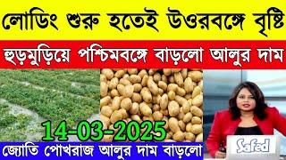 আজকের আলুর দাম উত্তর থেকে দক্ষিণবঙ্গে/আলুর দাম ও ফলন নিয়ে চিন্তায় কৃষক/West Bengal potato rate India