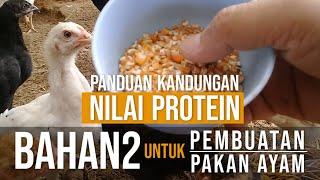 Panduan Daftar Kandungan Protein Beberapa Bahan untuk Membuat Formula Pakan Ternak Ayam Sendiri