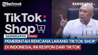 Pemerintah Rencana Larang TikTok Shop di Indonesia, Ini Respon dari TikTok