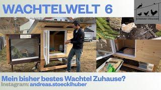 Wachtelwelt 6 Mein bisher bester Wachtel Stall?