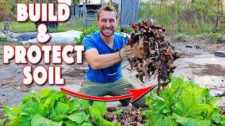 How To Build Soil Fertility And Protect Your Garden Over Winter!