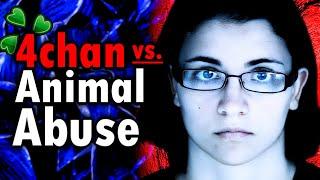 Arrested by 4chan: How 4chan Saved Animals