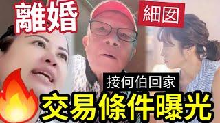 【獨家】何太放棄何伯！細女「接老父回家」交易條件曝光！證實450萬「非何伯擁有」破壞亡妻約定！娶河馬「殺雞取卵」#東張西望 #tvb #離婚