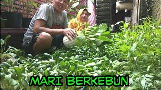 Room tour tanaman di rumah - bersama cenut nut