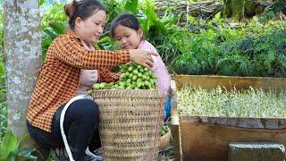 After 25 days of accident, Linh is back. Continue working on the farm in the mountains