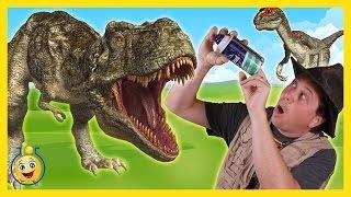 Life Size Giant T-Rex & Raptor Dinosaurs with Park Ranger Aaron in Surprise Toy Opening Kids Video