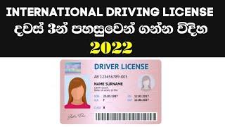 How To Get The International Driving License in Srilanka Sinhala 2022 | Where To Get The IDP