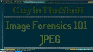 CTF - Image Forensics 101