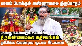 முருகனை வணங்கி அண்ணாமலையாரை தரிசிப்பது சிறப்பு ! - Palaru Swamigal | Thiruvannamalai Valipadu Murai