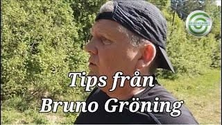 Tips på hur du kan tanka din energi