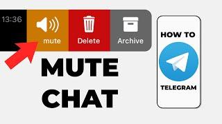 How To Mute Chat on Telegram