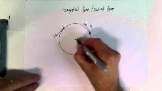 tangential force / radial force