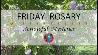 Friday Rosary • Sorrowful Mysteries of the Rosary  May 24, 2024 VIRTUAL ROSARY - MEDITATION