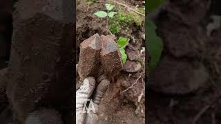 Rare and beautiful CRYSTAL found in the dirt | #shorts