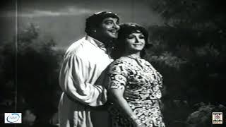 TAK CHANN PAYA JANDA AYE VEKH VEKH MERE CHANN NU - NOOR JEHAN & PARVEZ MEHDI - FILM CHANN TARA