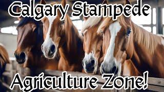 Agriculture Zone at the Calgary Stampede #calgarystampede  | Walking Tour | #agriculture