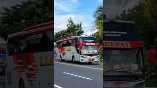 BIG BUS EKA CEPAT MESIN HINO NGEBUT MANUVER DI TIKUNGAN #shorts #trending #subscribe