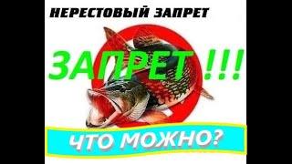 НЕРЕСТОВЫЙ ЗАПРЕТ 2021 Украина / Что можно и что нельзя!