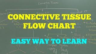 CONNECTIVE TISSUE FLOW CHART ( EASY WAY)