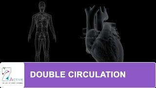 DOUBLE CIRCULATION