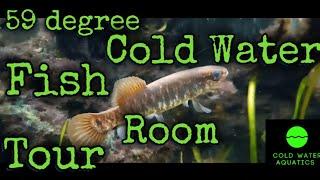 Cold Water Fish Room Tour